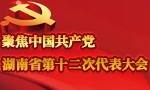 湖南省第十二次黨代會收到代表提案162件